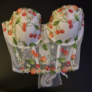 Victoria's Secret | Vs Dream Angels Strawberry, Cherry Mesh Embroidery Corset